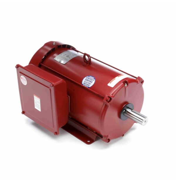 Leeson Farm Duty Motor 10HP 230V 1800 215T