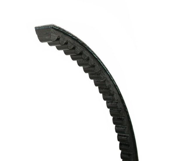 Farm duty Belt