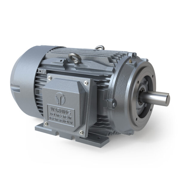 Techtop Electric Motor 50HP 230/460V 3600RPM 324/6TSC TEFC
